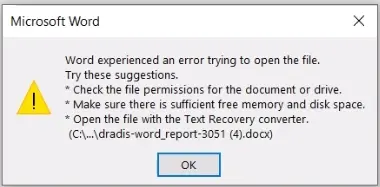 Screenshot of generic Word report error