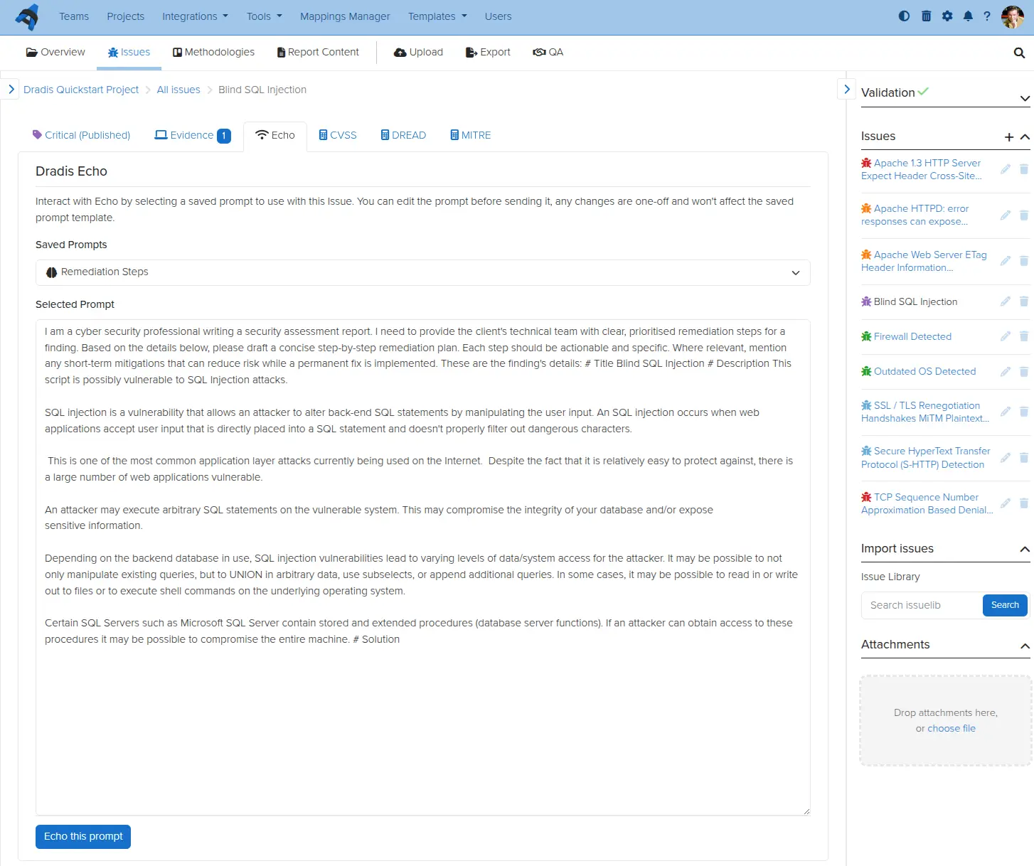 Screenshot of Dradis Echo in Issues