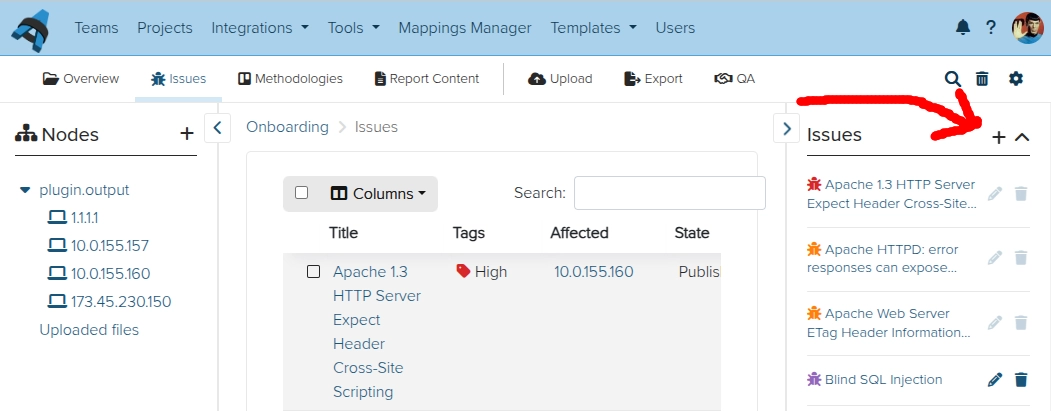 Screenshot of adding Issues in Dradis