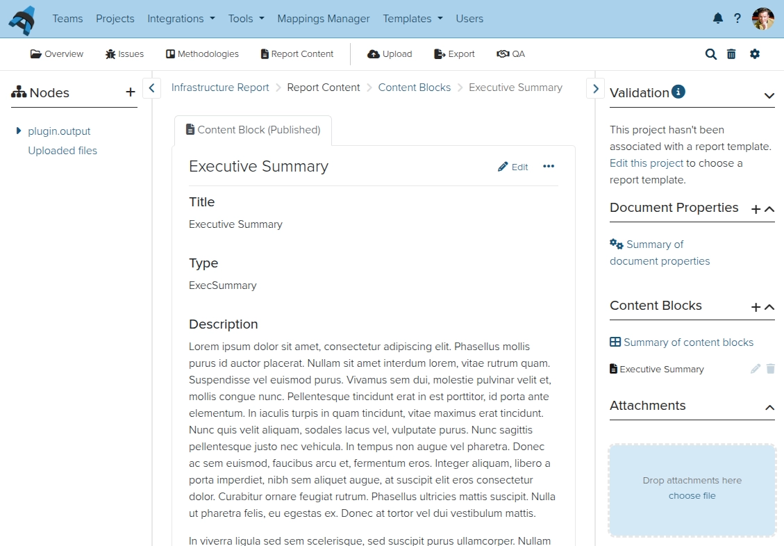Screenshot of a Dradis ContentBlock
