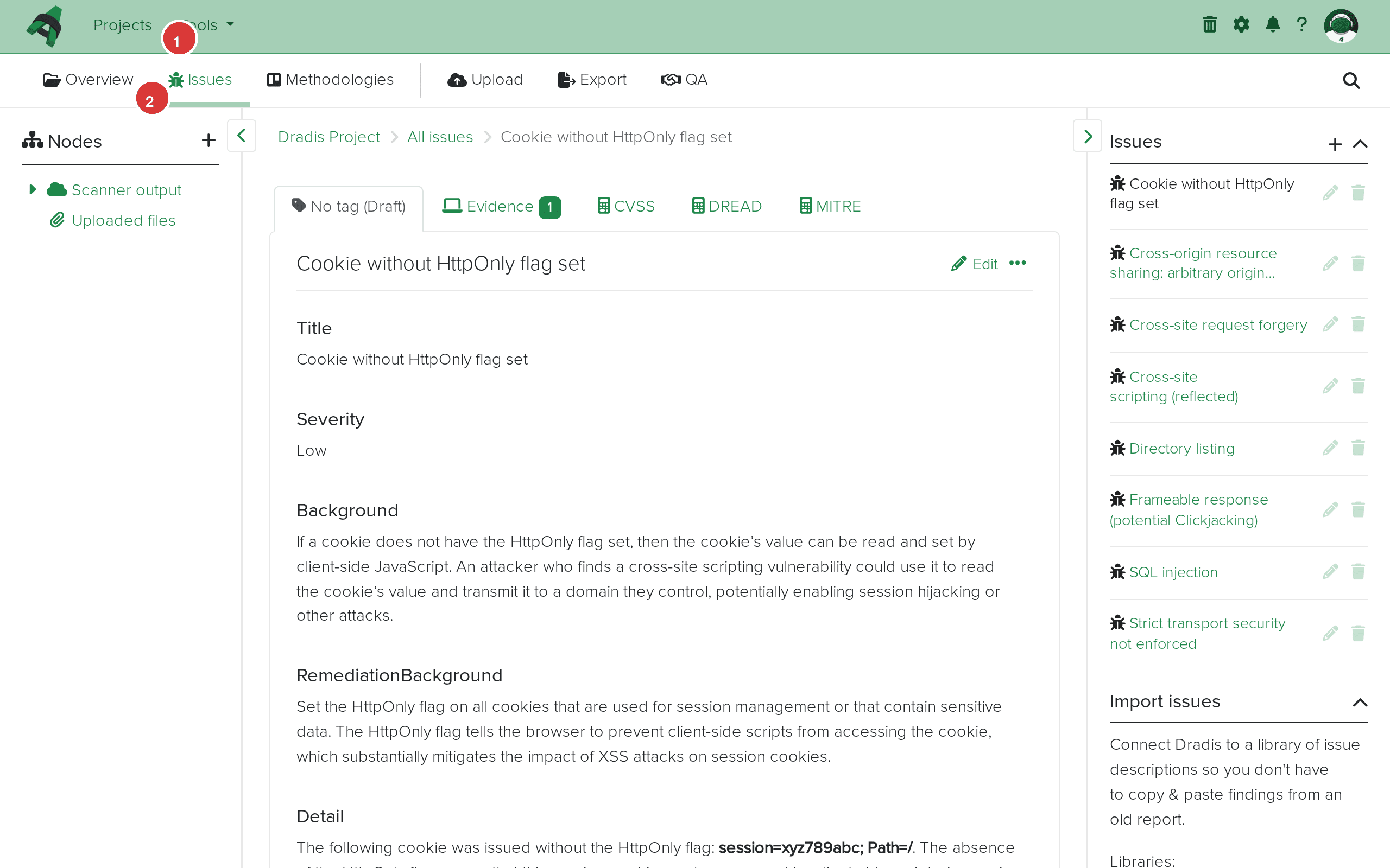 Detail view of an imported Burp issue