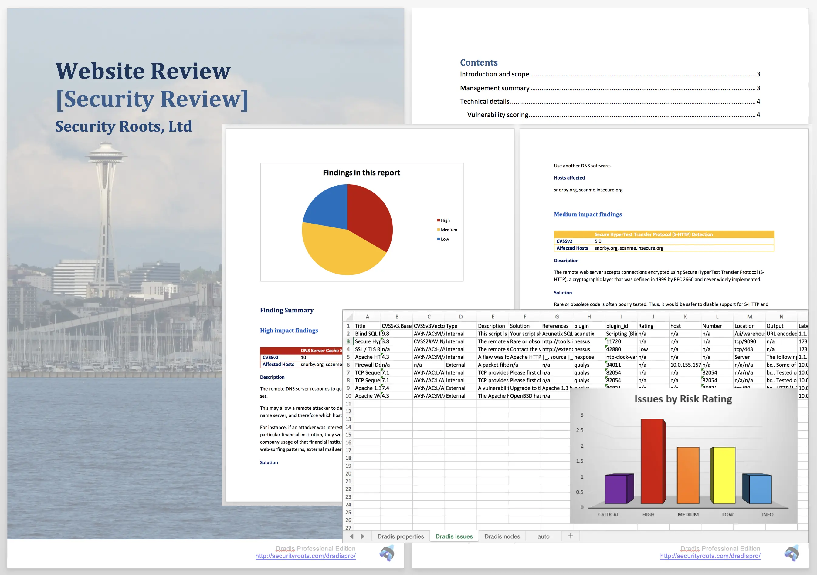 Exaqmple Dradis report